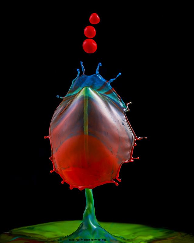 drops, macro, colors,liquid, milk, color_water,macro_photo,water Colors dropsphoto preview