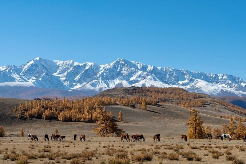 Алтайская осеньphoto preview