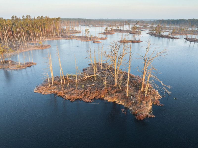 Утро в марте фото превью