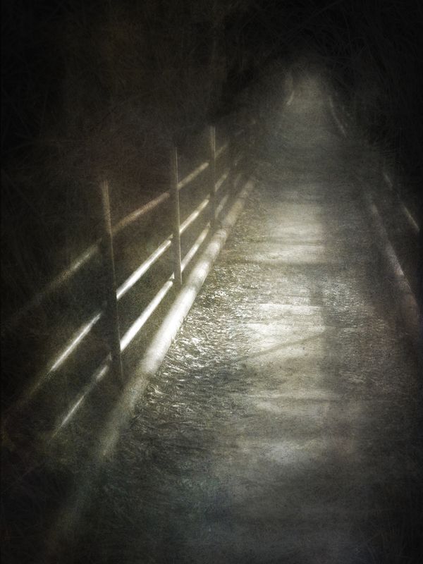 чб, тропа Неизвестность.photo preview