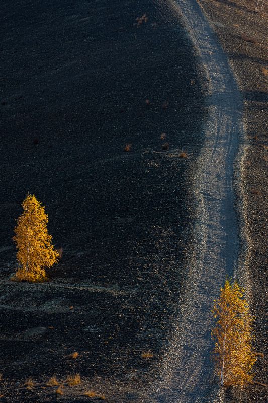 *******photo preview