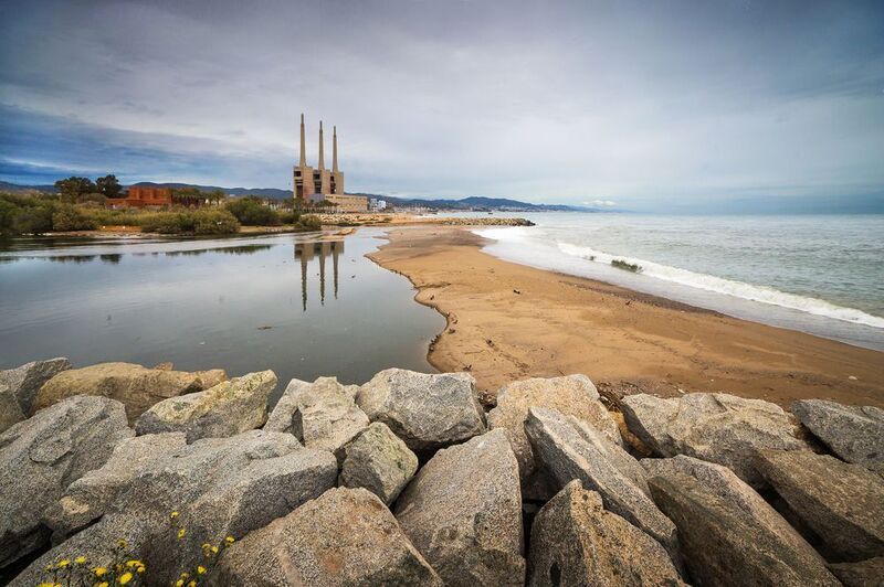 Одуванчики photo preview