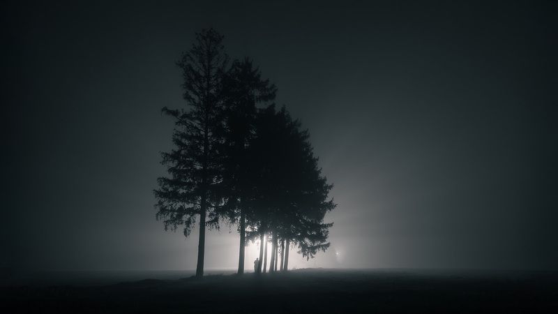 Portfoliophoto preview