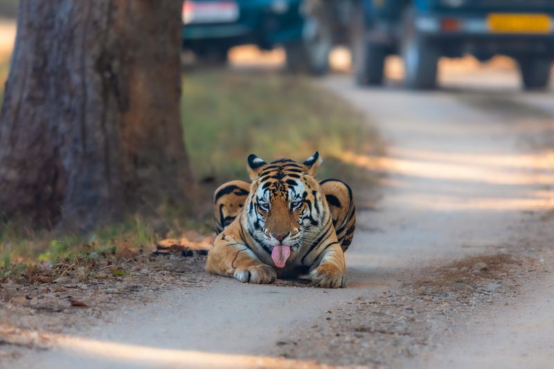 Digging the Salt........photo preview