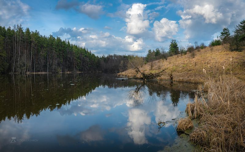 белгородская область, белогорье, отражение, пруд, озеро, водоём, дерево, берег, весна, весенний, апрель, апрельское, облака, облачно, лес, сосны, поля, дорога, просёлка, Апрельphoto preview