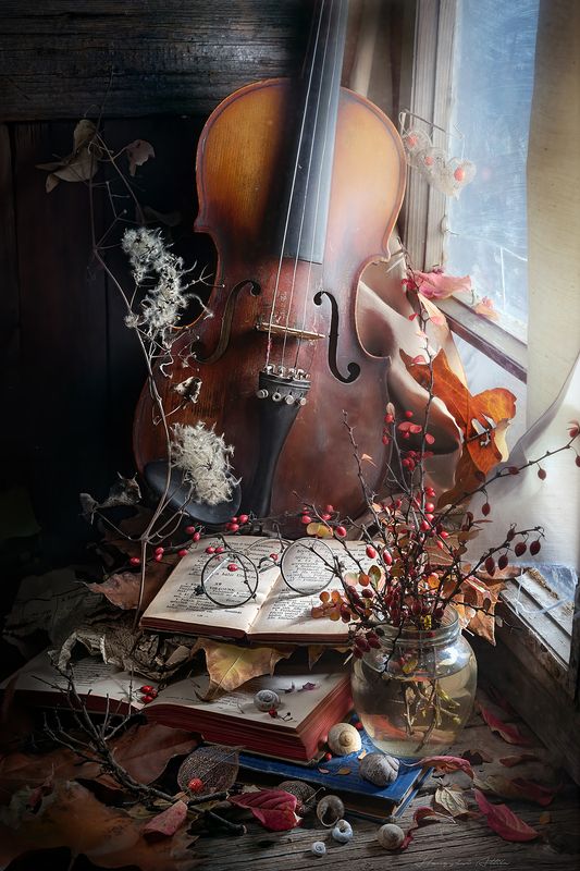 violin, still life, window Rendetlen csendélet hegedűvelphoto preview