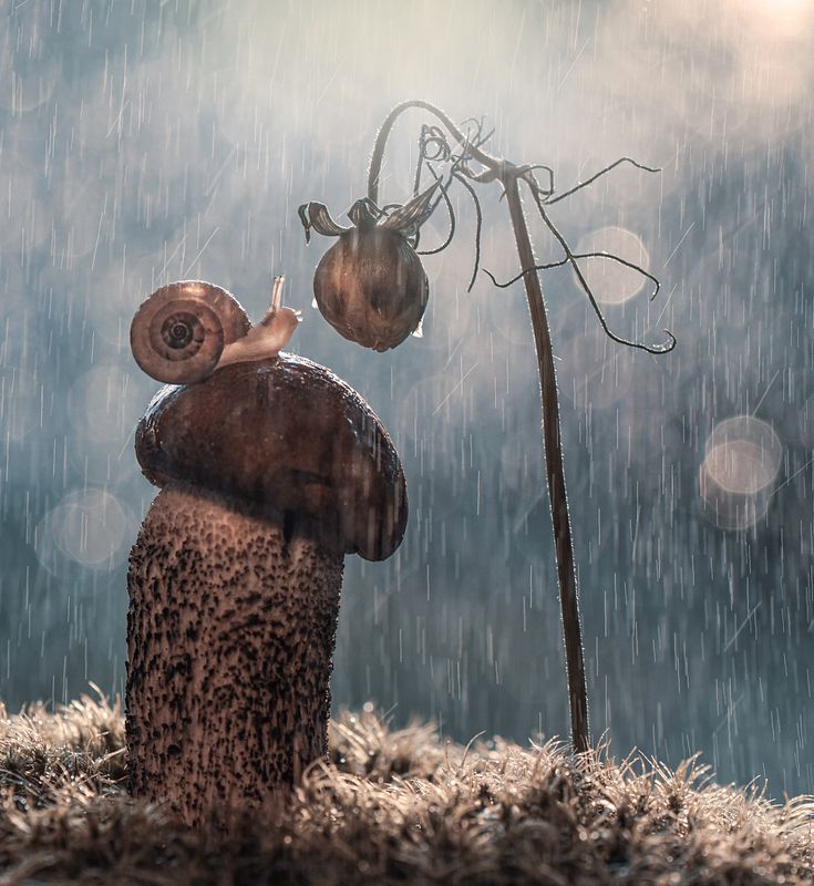 Познавая себя фото превью