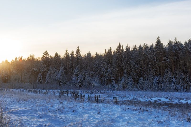 природа, пейзаж, зима, рассвет, nature, canon Зимний пейзаж photo preview