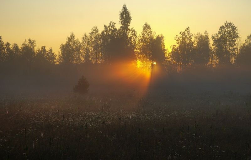 Утренний светphoto preview