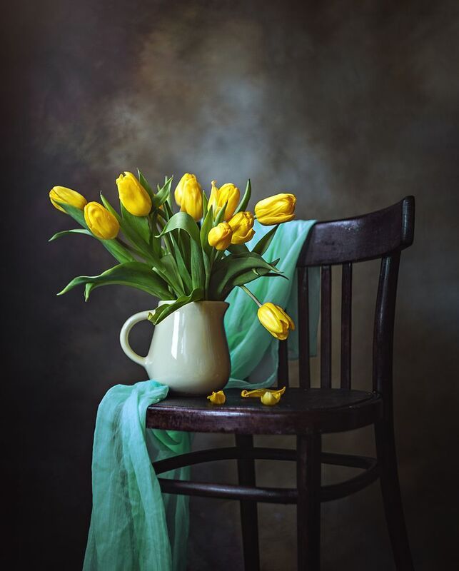 Фото натюрмортыphoto preview