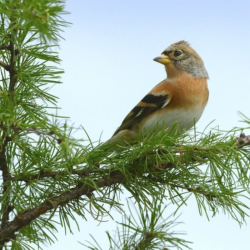 Юрокphoto preview