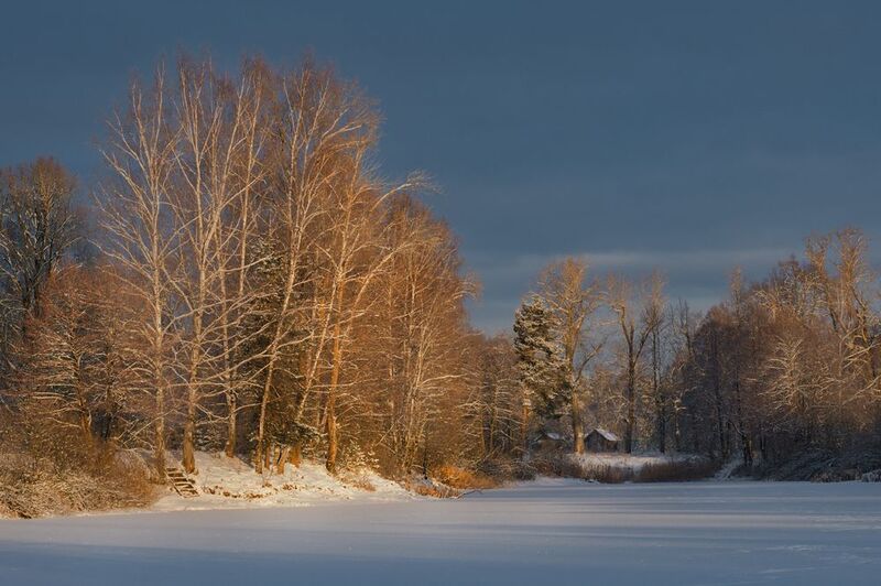 зима рассвет утро мороз пивоварово Пивоварово на рассвете.photo preview