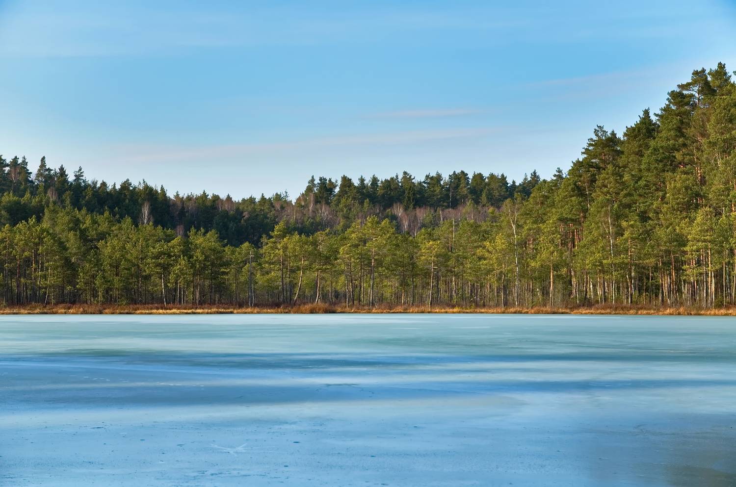 весна, лес, озеро, лёд, беларусь, Виктор Гурков