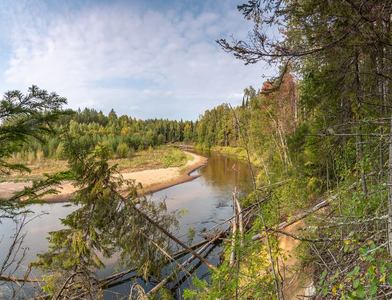 лименда, река, лес, берег, осень, Лесная речка. фото превью