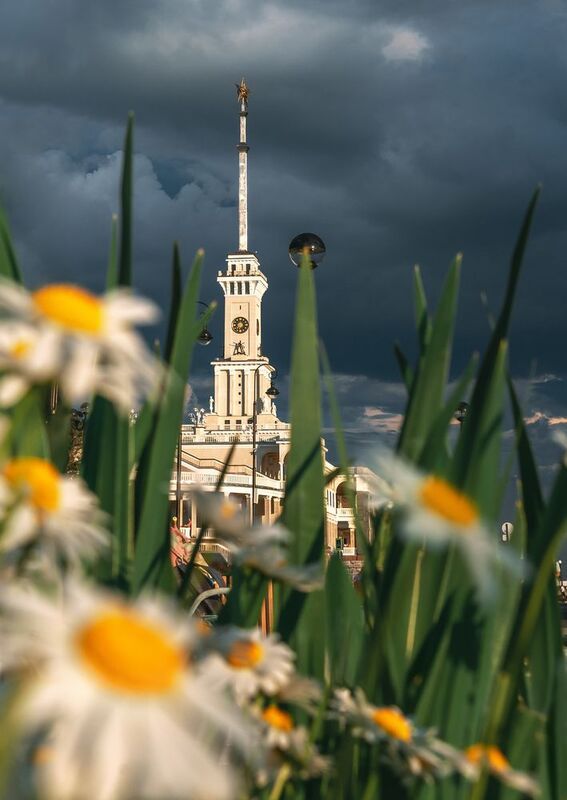 речной вокзал, ромашки, москва Речной вокзалphoto preview