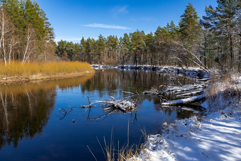 Последний снегphoto preview