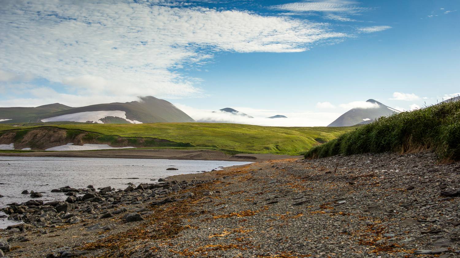 , Денис Туев