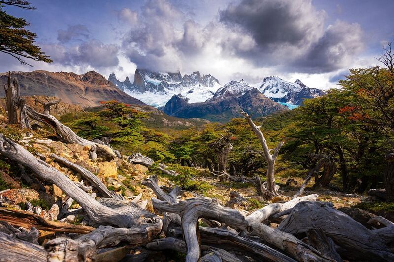 fitz roy, fitzroy, cerro torre, el chalten, chalten, patagonia, argentina, фицрой, серро-торре, эль-чалтен, аргентина, патагония Вершина скрыта от глаз фото превью