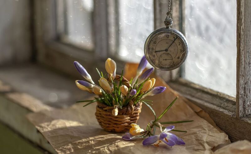 натюрморт, окно, крокусы Время весны...photo preview