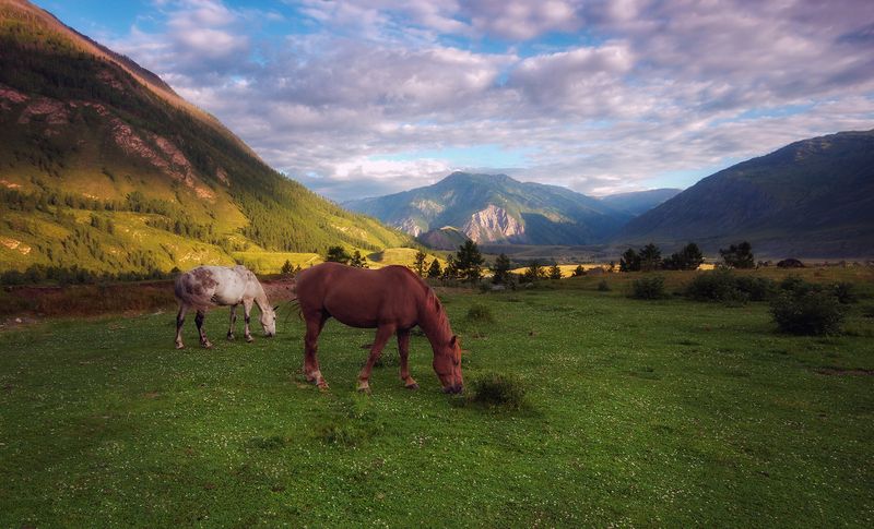 Безмятежностьphoto preview