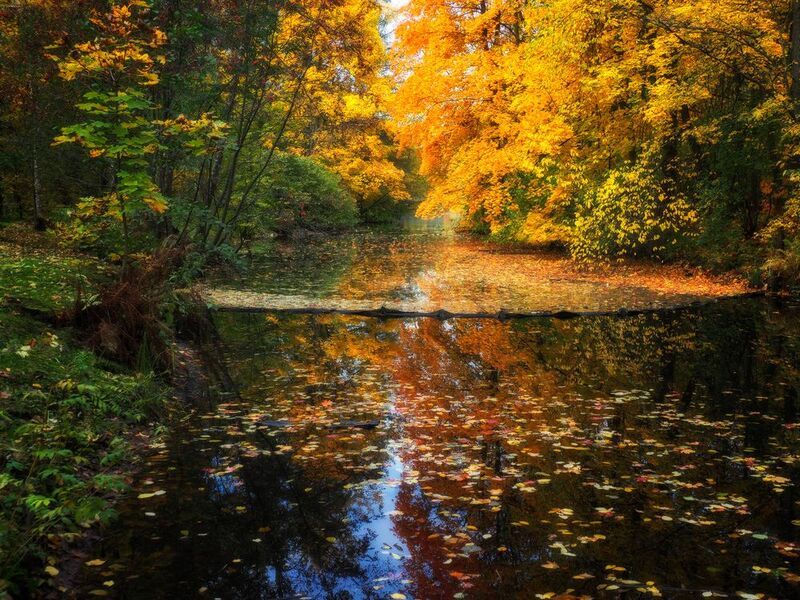 Осенние краскиphoto preview