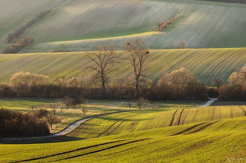 The Road among Hillsphoto preview