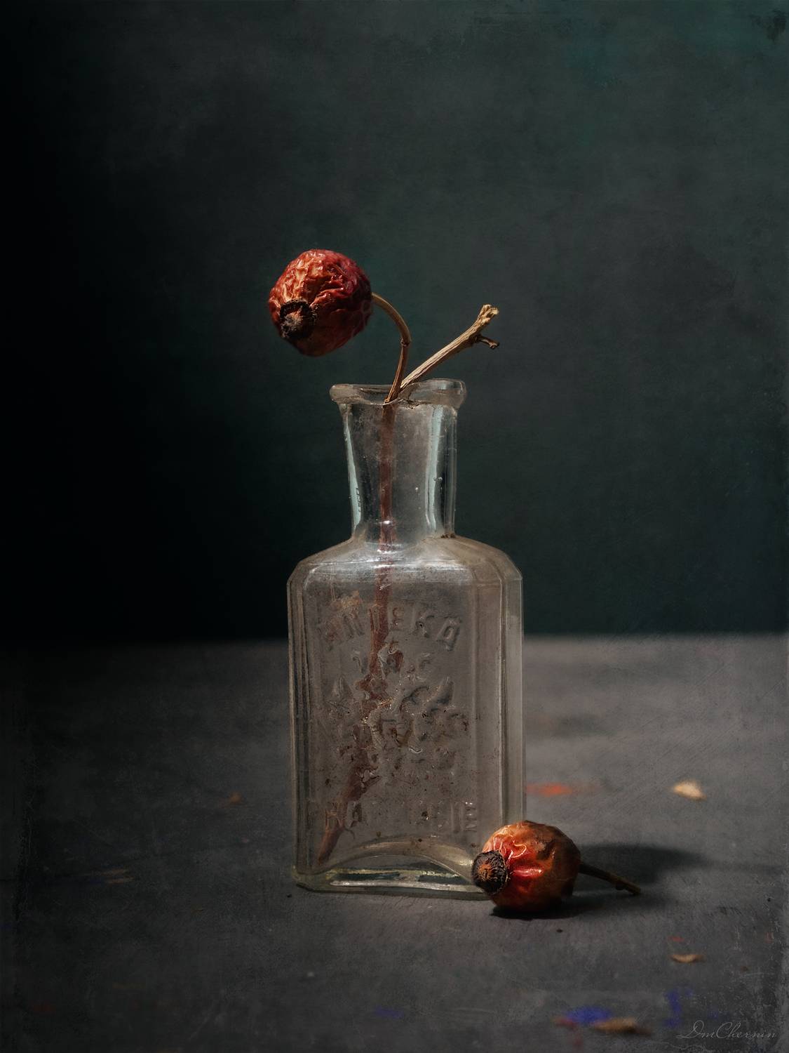 , Чернин Дмитрий