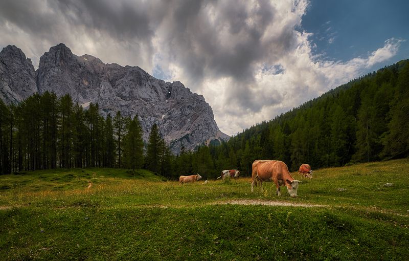 Milky wayphoto preview