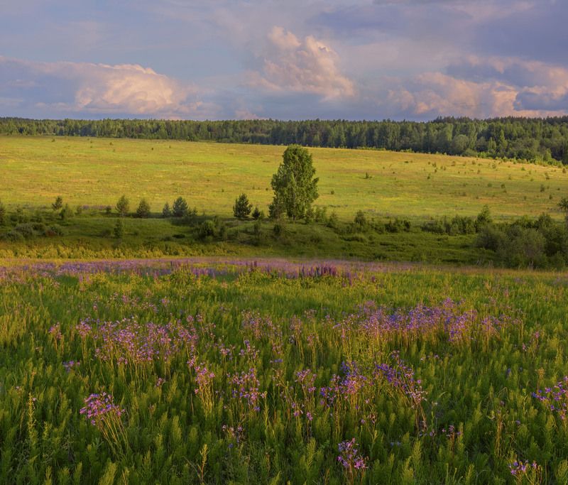 Фототуры с Владимиром Рябковым, #topnature #russpasibo #magic_shots #lovelyRussia #sunset_vision #exclusive_sky  #exclusive_shots #loves_russia2 #photoarena_nature #nature_sultans #nature_perfection #rsa_sky #rsa_sunset #photorussia #rsa_naturepics #sunse Июньский вечер. фото превью