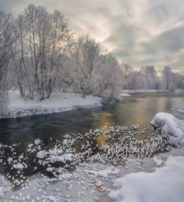 Природа после морозной ночиphoto preview