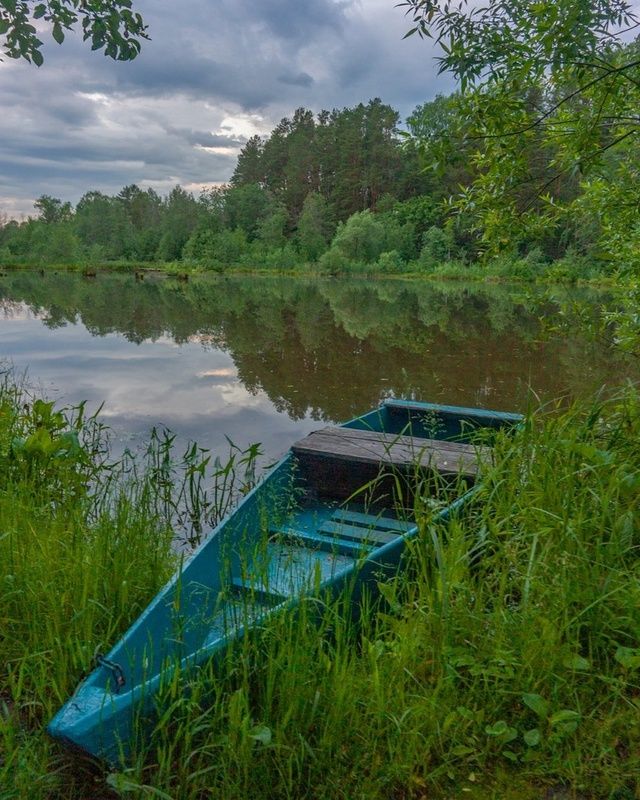 Пасмурное утро на прудуphoto preview