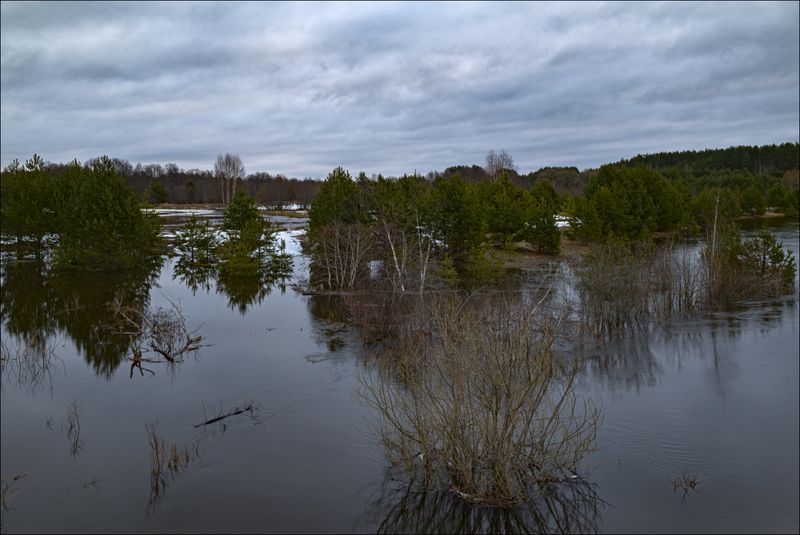 Половодье в Тверскойphoto preview