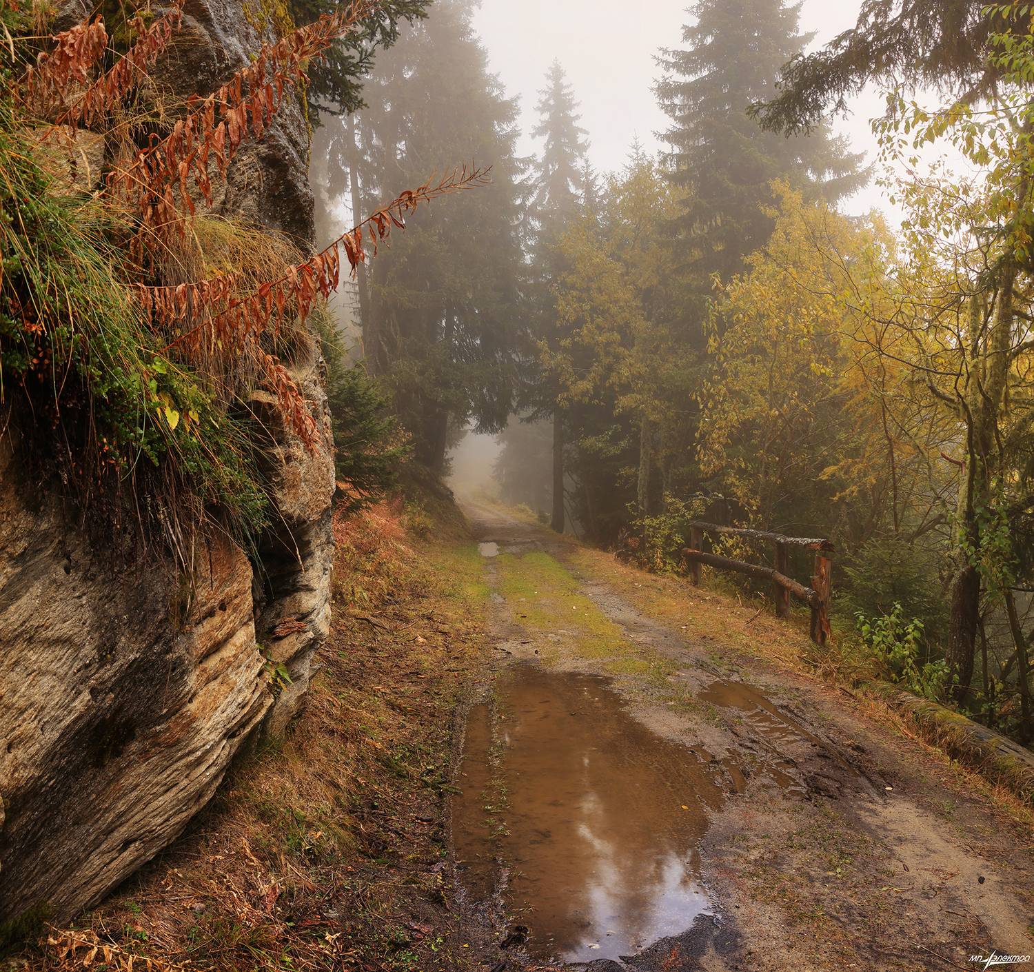 swiss, Матвеев Николай