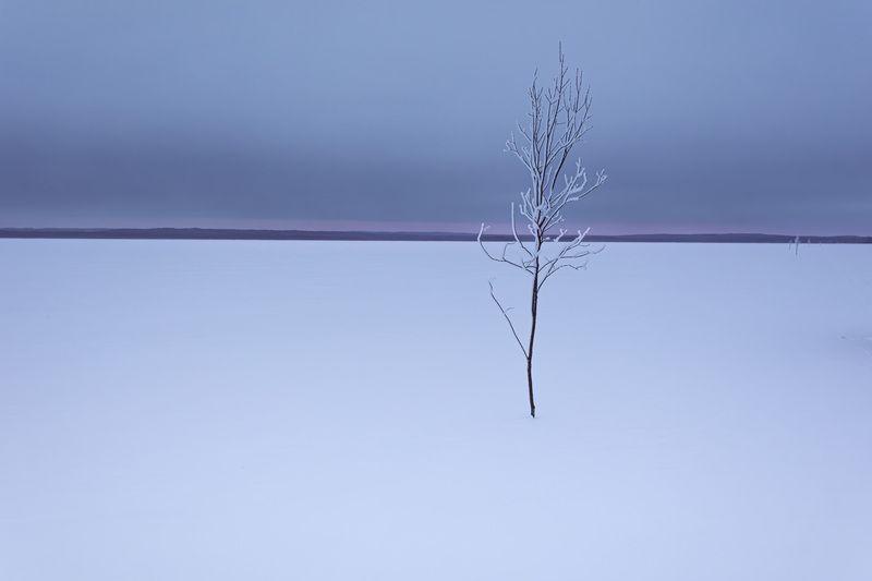 Одиночествоphoto preview