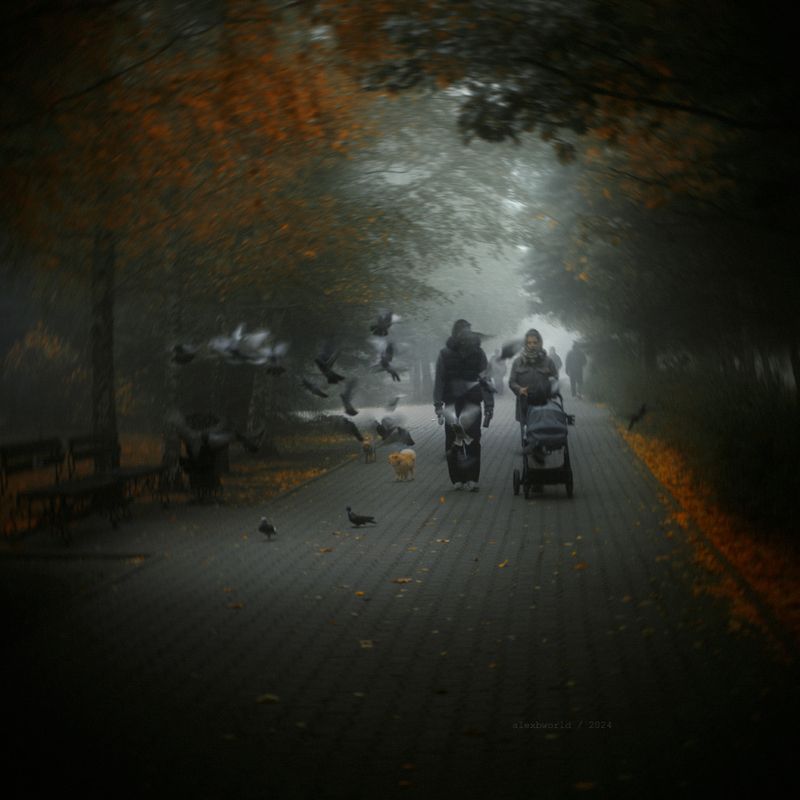 Untitledphoto preview