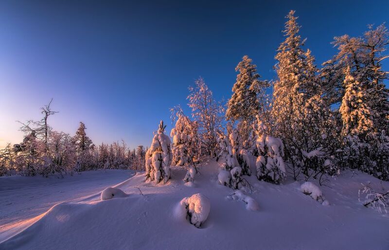 Утренние краскиphoto preview