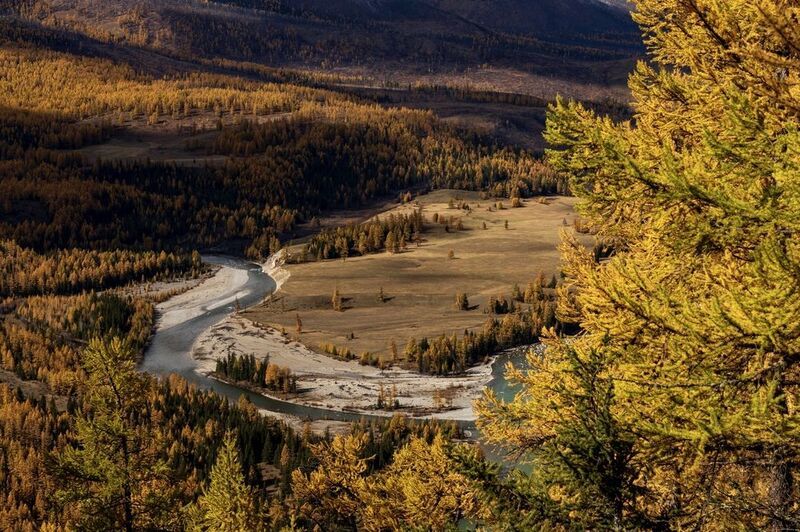 Алтайская осеньphoto preview