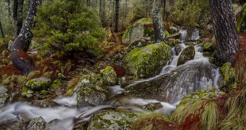 photo, photography, picture, land, landscape, nature, spring, river, color, mood , colorful, green, river, flow, flowing, forest, mountains Spring Songphoto preview