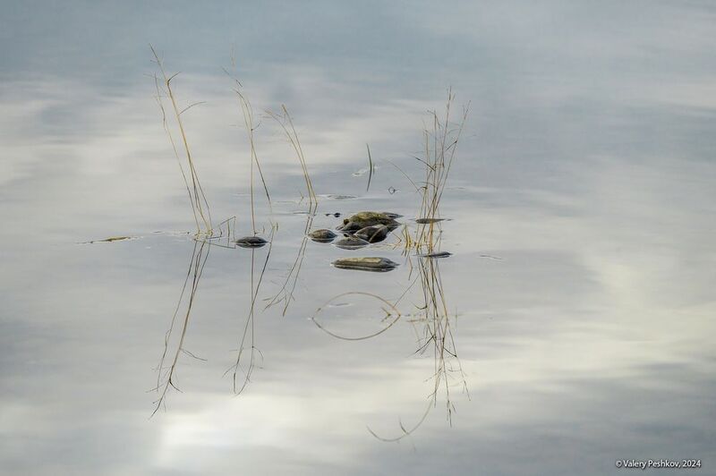 река, курейка, плато путорана, вода, отражения, осень, предзимье, таймыр, заполярье Осенние этюдыphoto preview