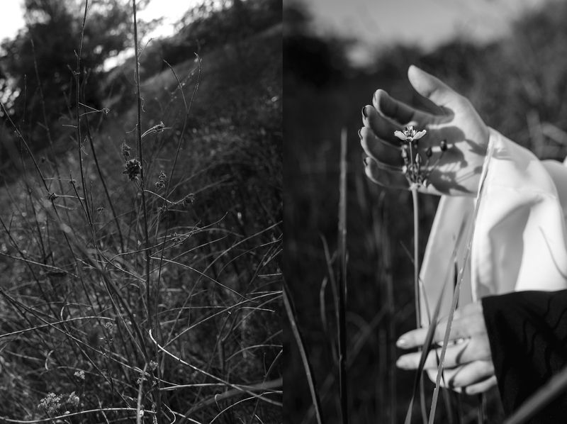 Проект Сущностьphoto preview