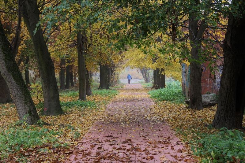 Хохряков Виктор, Russia