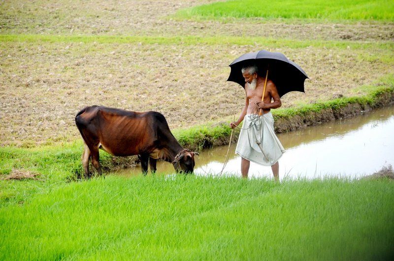 Masud, Bangladesh