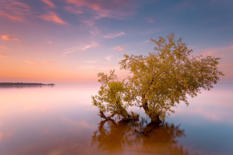 Stas  Muhin, Ukraine