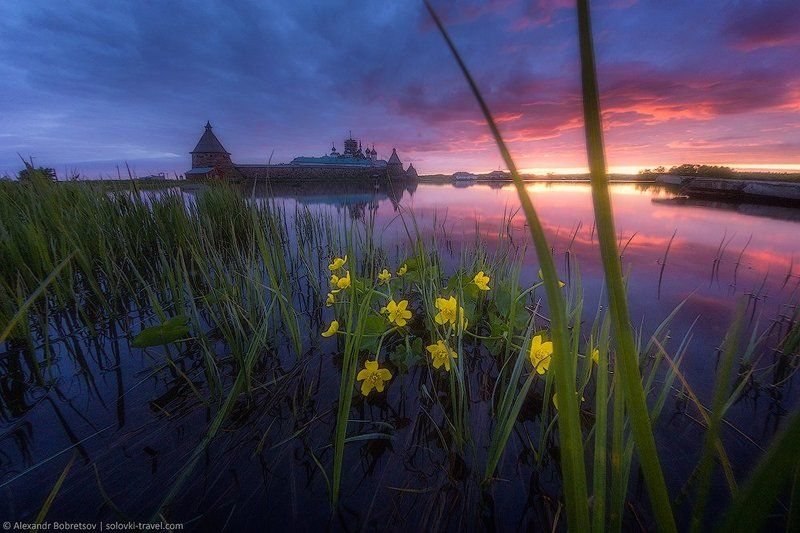 Белые ночиphoto preview