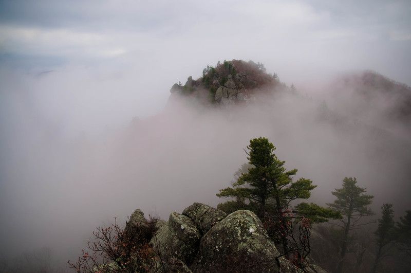 В плену туманаphoto preview