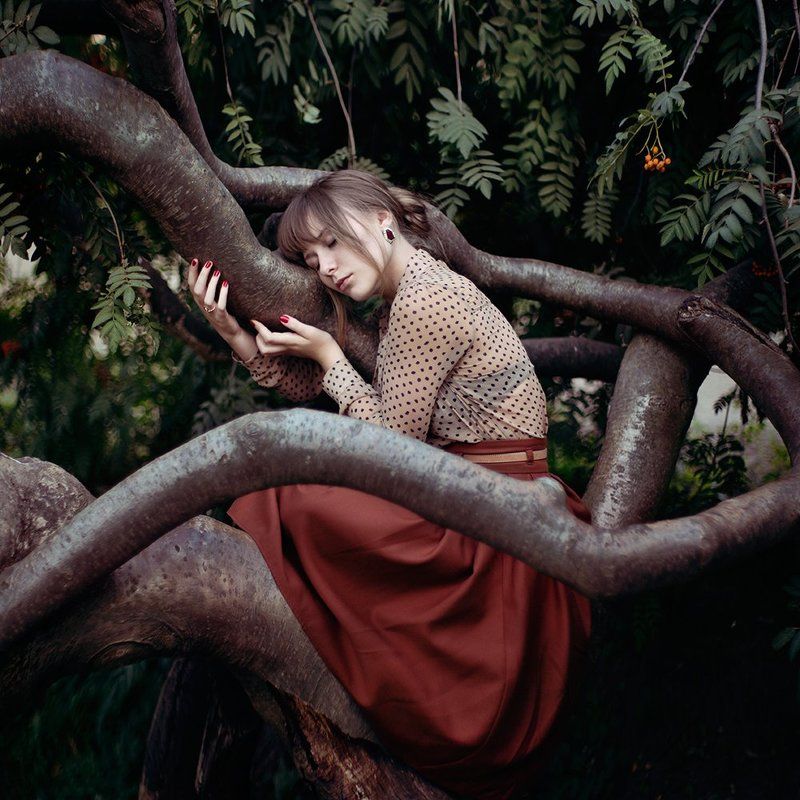 портрет Dreamphoto preview