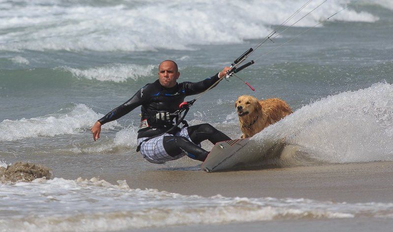 Серфингphoto preview