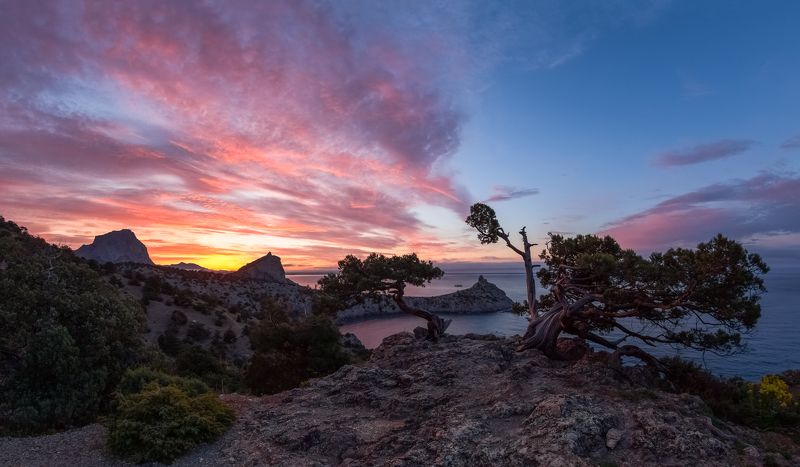 Утренним галсом к солнцу.photo preview