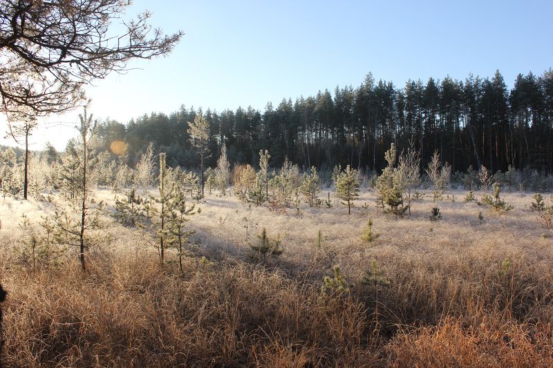 Ruden, Russia