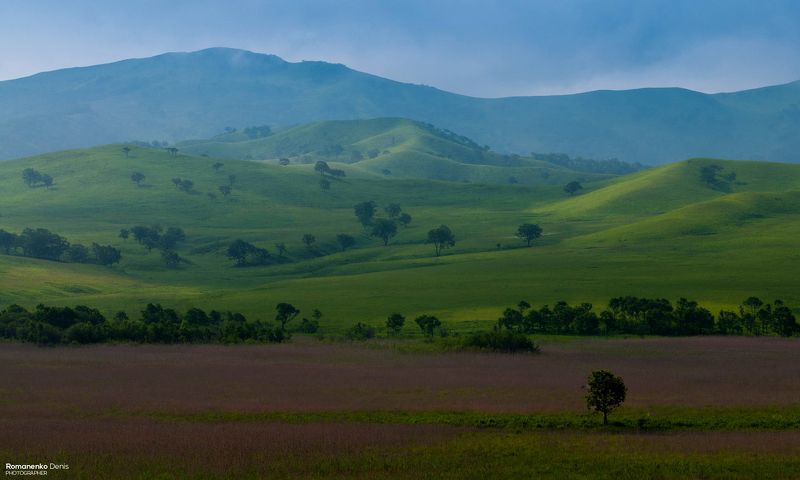 Границы цвета.photo preview